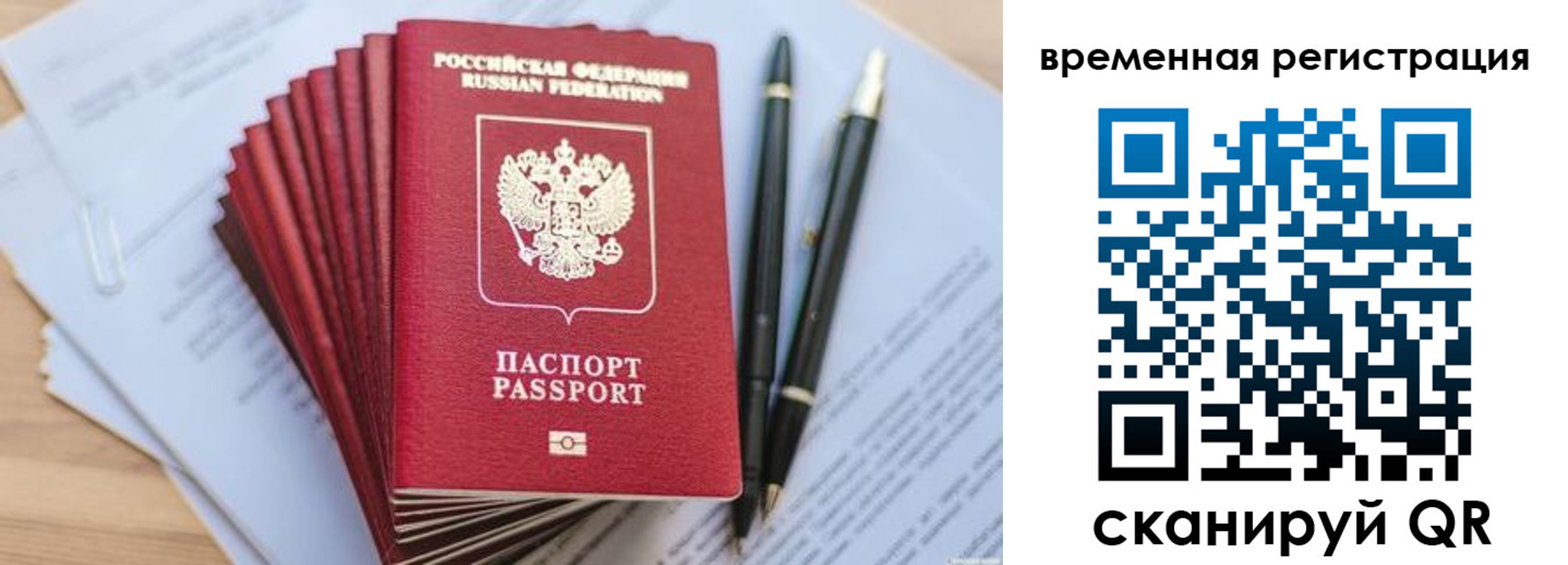 регистрация для школы в Курганской области
